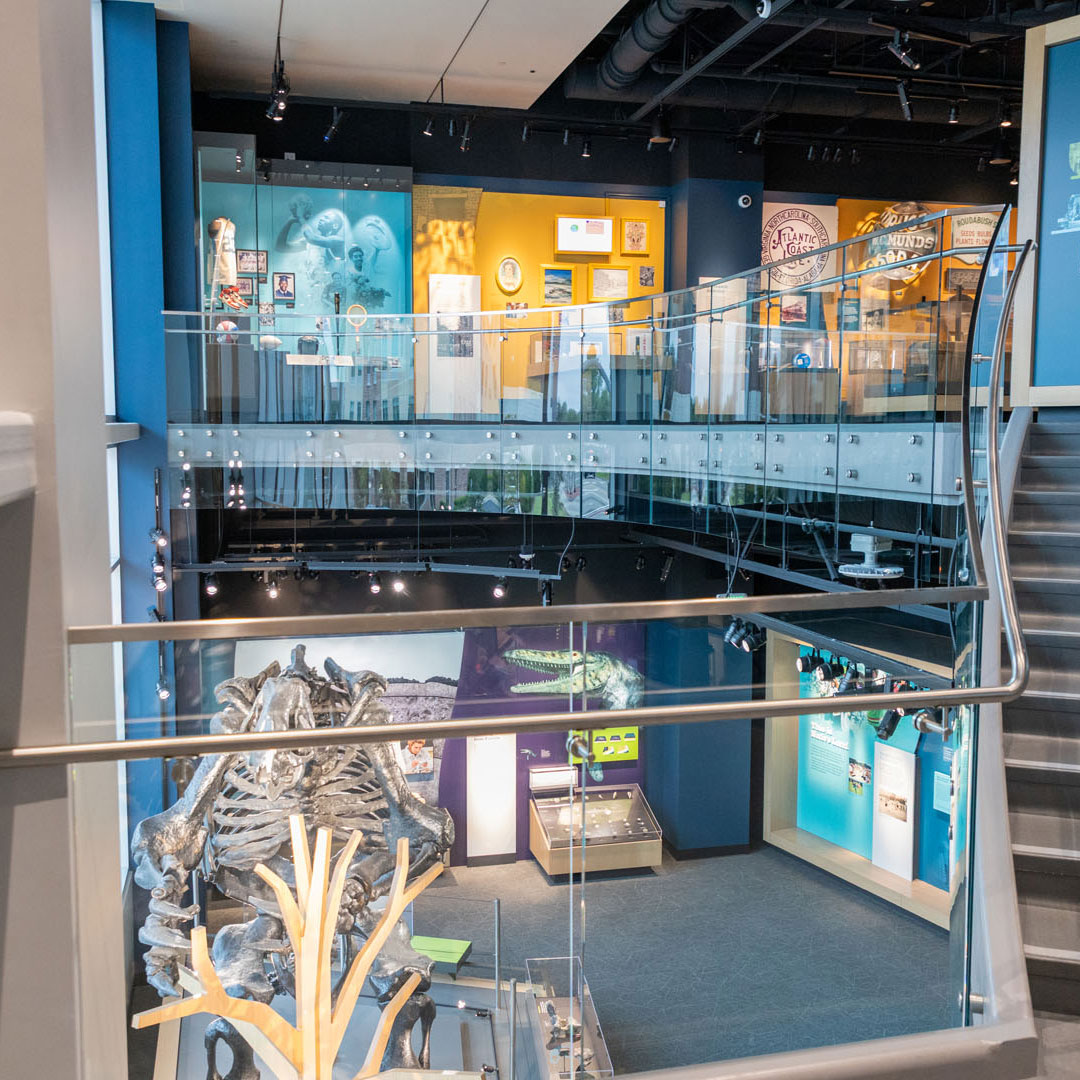 Commercial glass railings